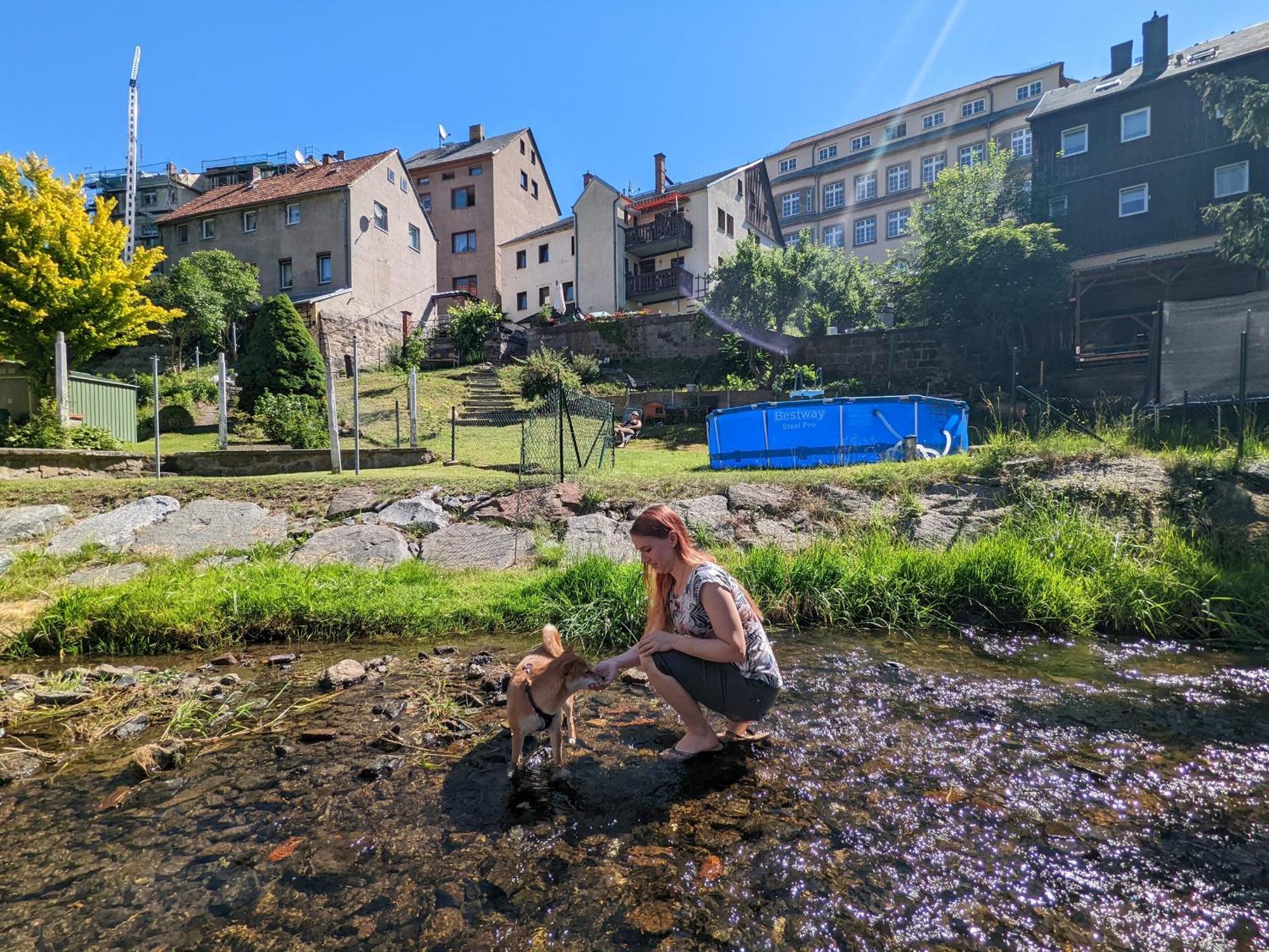 Zi1 - Urlaubsmagie - Erholung Mit Whirlpool & Sauna Sebnitz Buitenkant foto