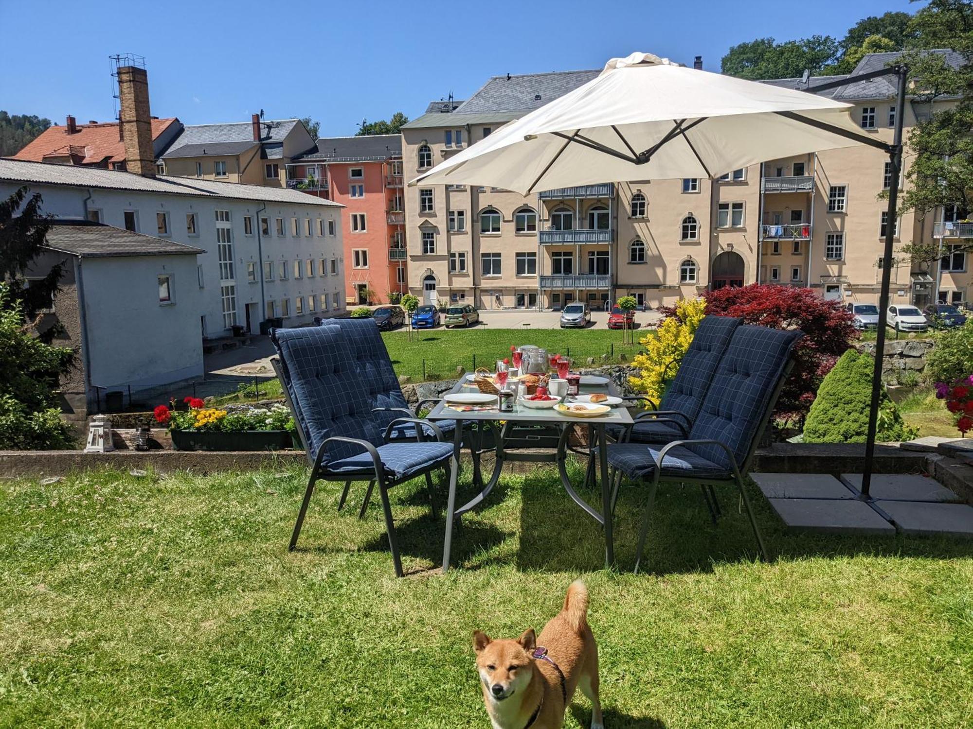 Zi1 - Urlaubsmagie - Erholung Mit Whirlpool & Sauna Sebnitz Buitenkant foto