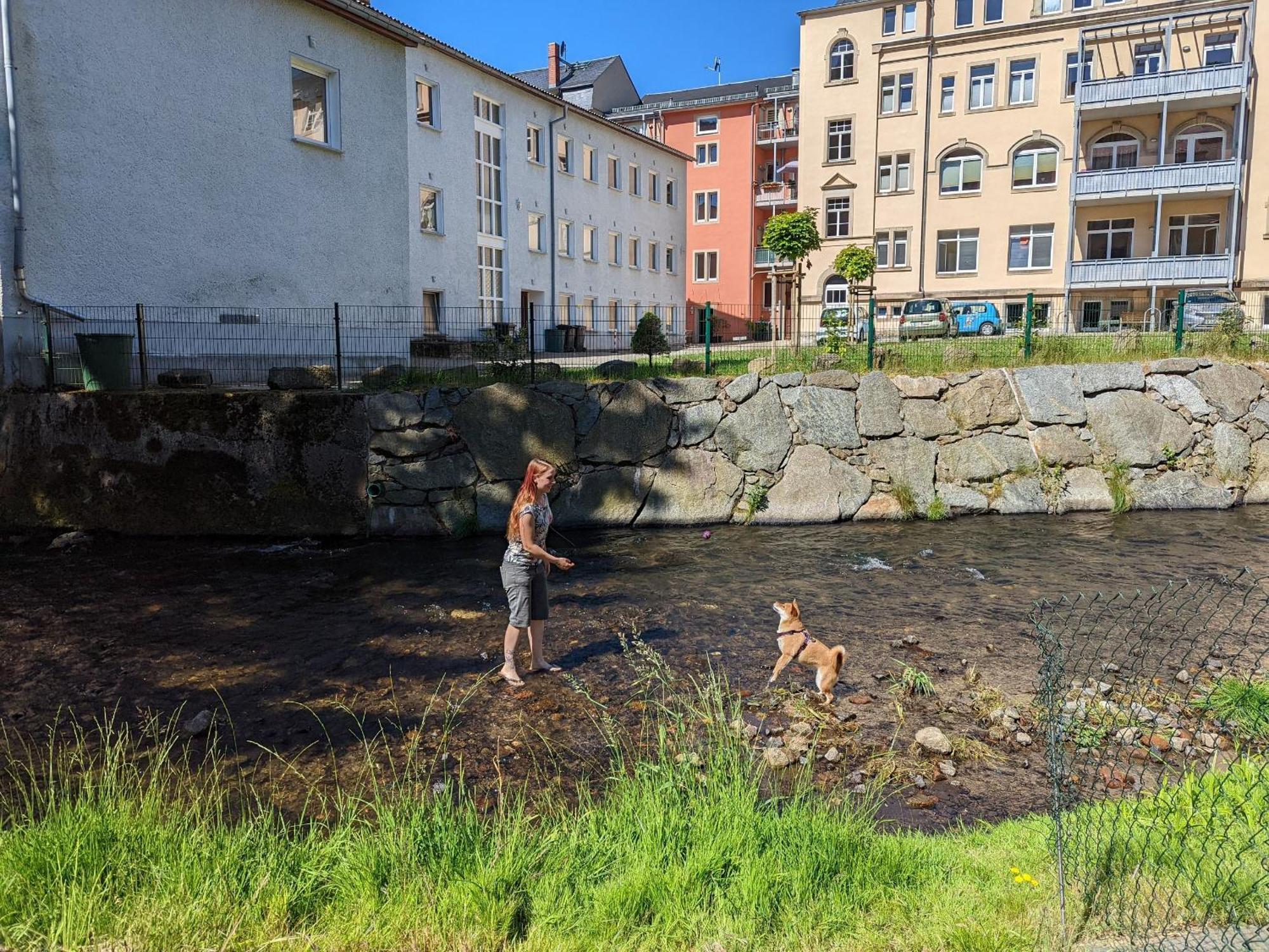 Zi1 - Urlaubsmagie - Erholung Mit Whirlpool & Sauna Sebnitz Buitenkant foto