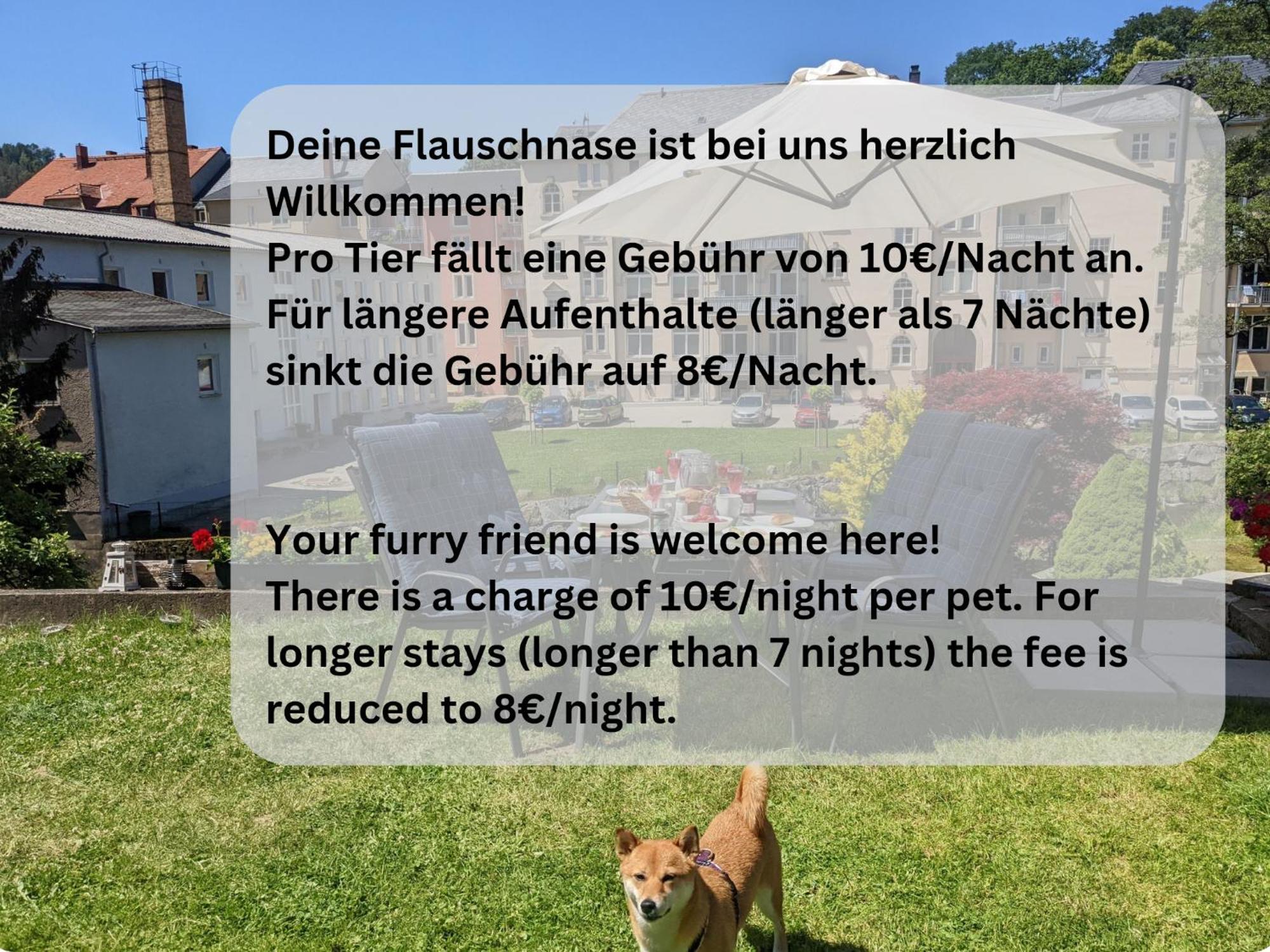 Zi1 - Urlaubsmagie - Erholung Mit Whirlpool & Sauna Sebnitz Buitenkant foto
